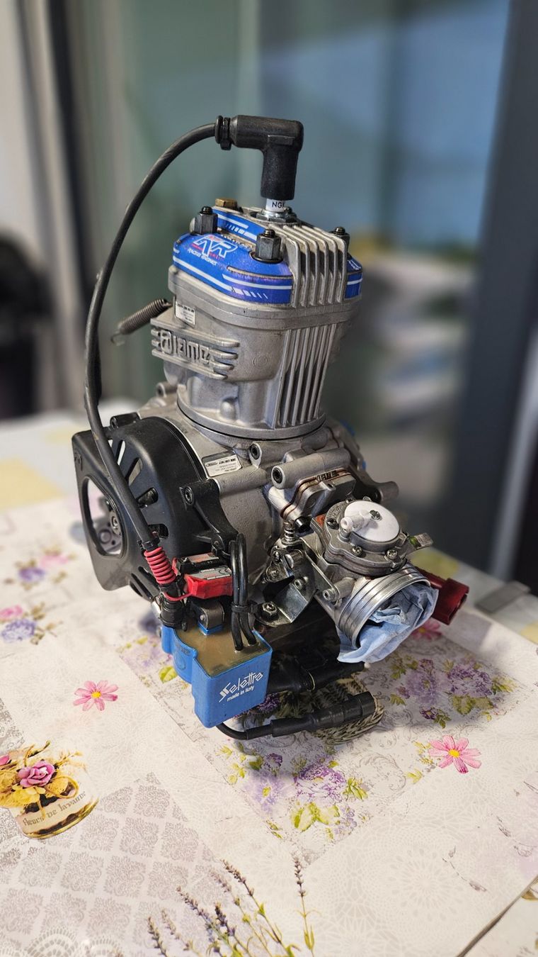 Go-Kart: Kit 2 IAME X30 NEW Kolben – Usato da Quartino venduto da chrilfulmine 2