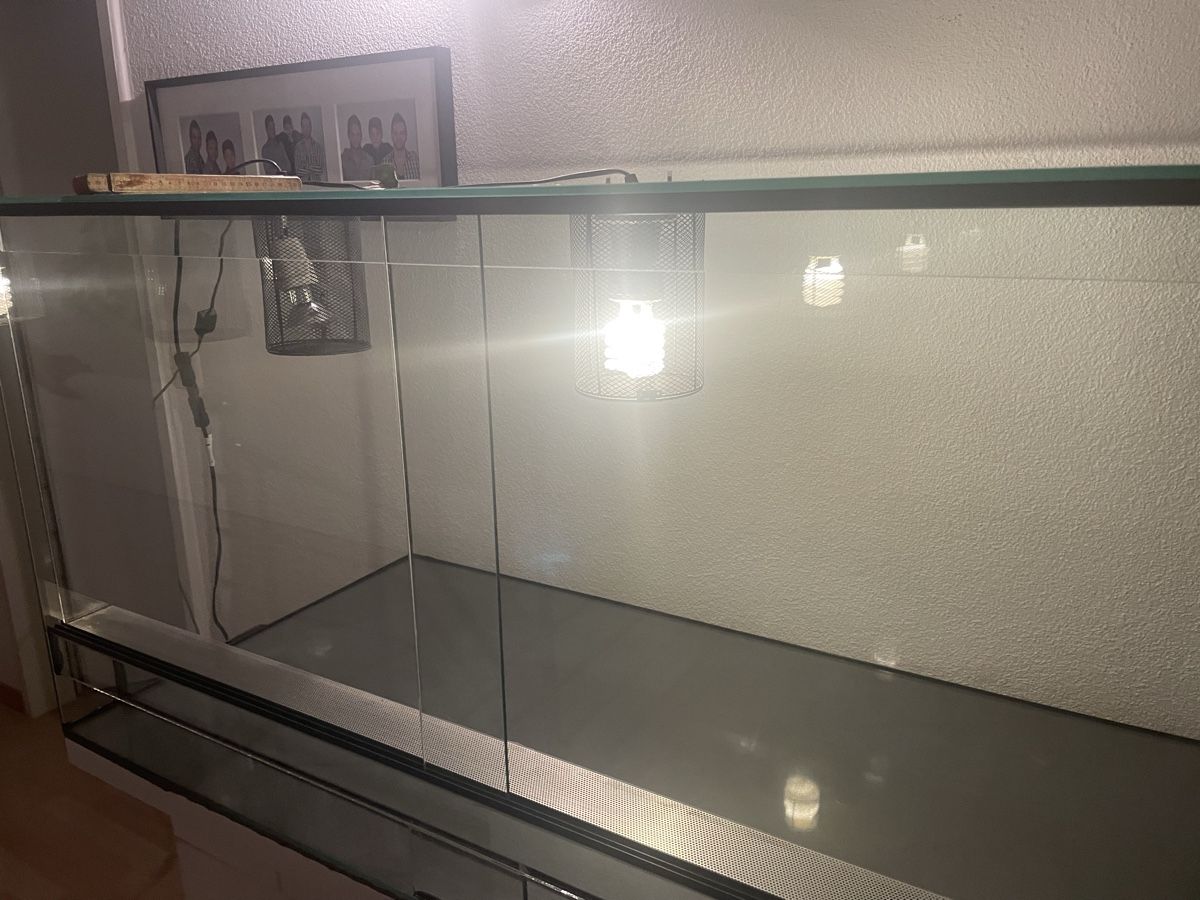 Terrariums: Schlangen Terrarium ca. 400l – D'occasion à Willisau par Marcello63 7