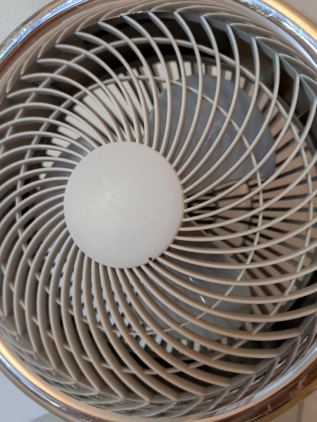 Ventilatoren: Standventilator grau mit zwei Gebläsen – Gebraucht aus Dietfurt von Subforce1853 7