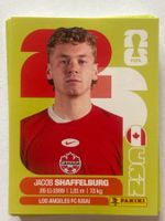 Panini WM 2026 Sticker - Shaffelburg CAN 14