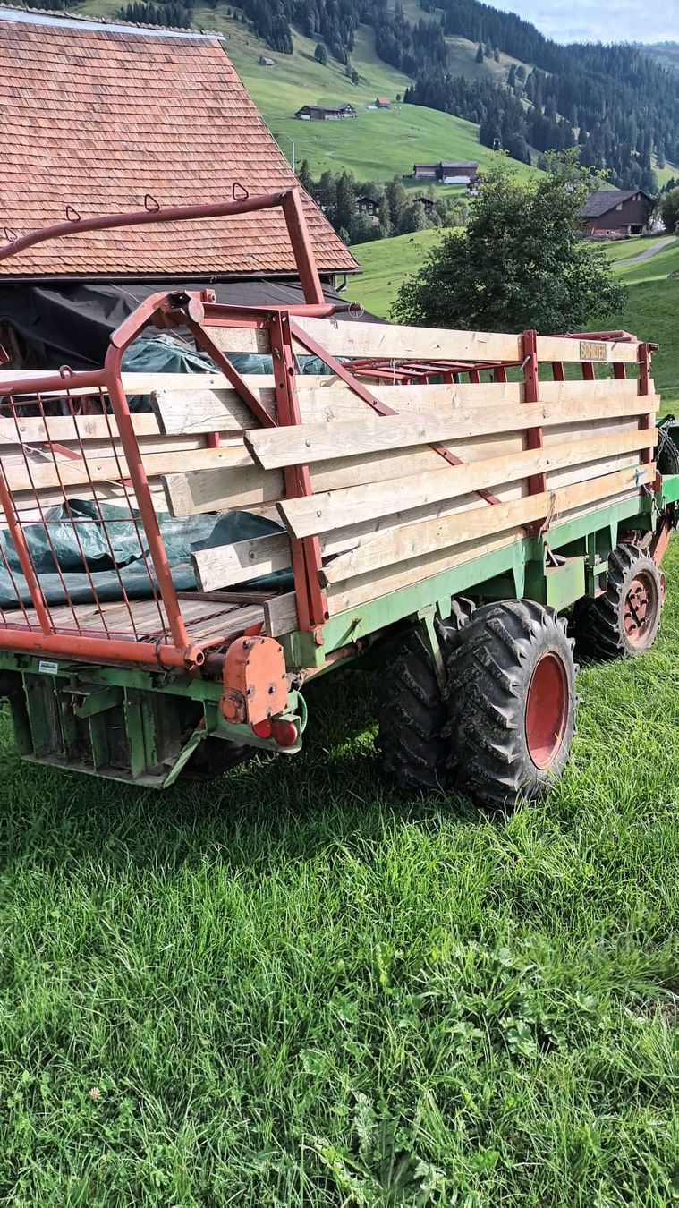 Tutte le macchine: dä schilter LT 1 mit ladigrät – Usato da Unteriberg venduto da for_lc58 2