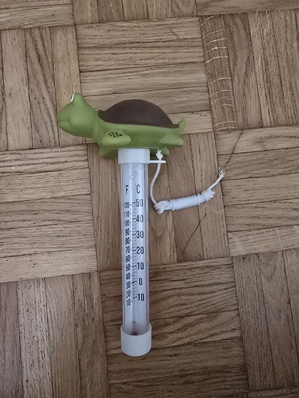 Sonstiges für Haushalt & Wohnen: Wasserthermometer Schildkröte – Neu (gemäss Beschreibung) aus Effretikon von Yanaa247