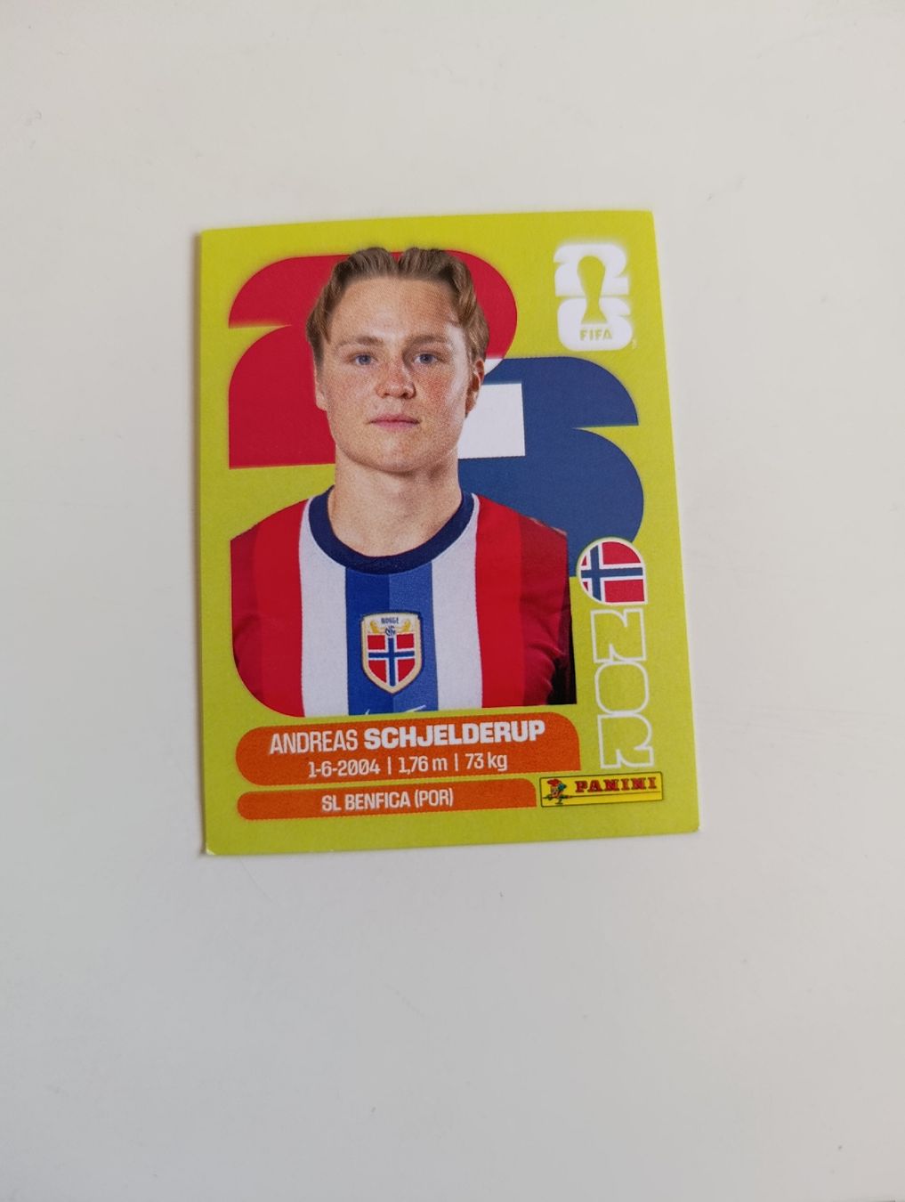 Panini Carte collezionabili: Panini World Cup 2026 NOR 12 – Nuovo (secondo la descrizione) da Lavey-Village venduto da pas_7xd2