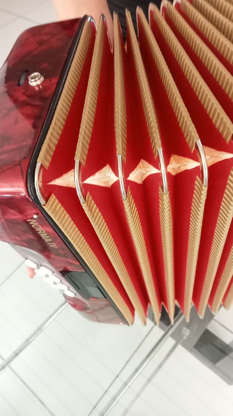 Hohner Strumenti musicali: Diatonische Handharmonika – Usato da Gwatt (Thun) venduto da Oldidoc 2