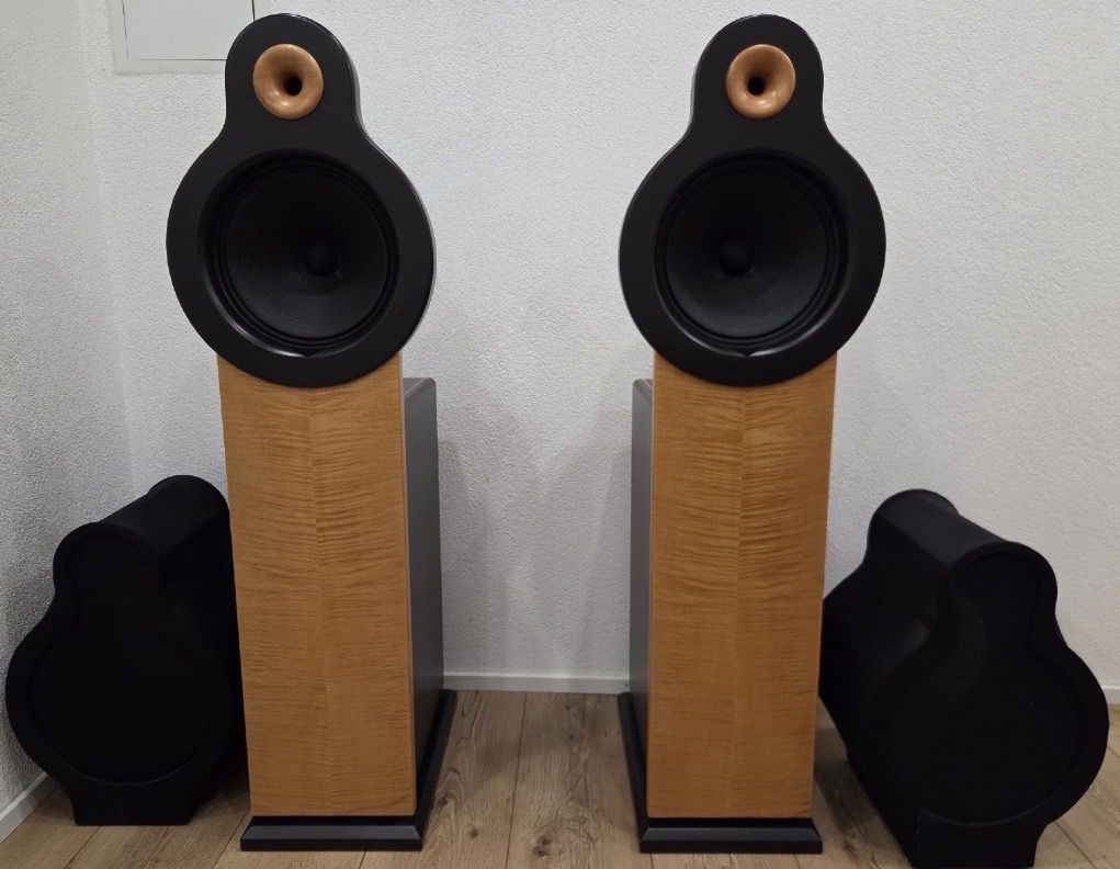 Casse acustiche: Bastanis APOLLO - Open Baffle Lautsprecher - TOP – Nuovo (secondo la descrizione) da Wald ZH venduto da RIVAAUDIOEMOTIONS 8