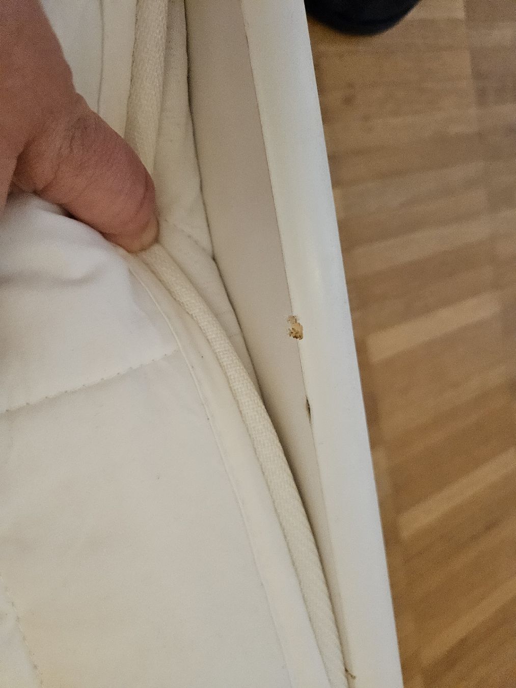 Letti: Bettgestell mit Unterbett (2 x Einzelbett) – Usato da Lenzburg venduto da lau_nn7p 7