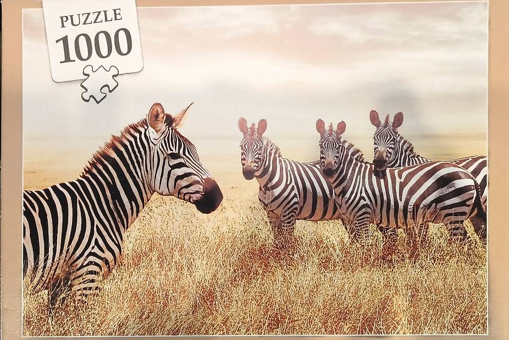 Puzzle: Diverse 1000er Puzzles – Usato da Sulzbach venduto da Dida2985 3