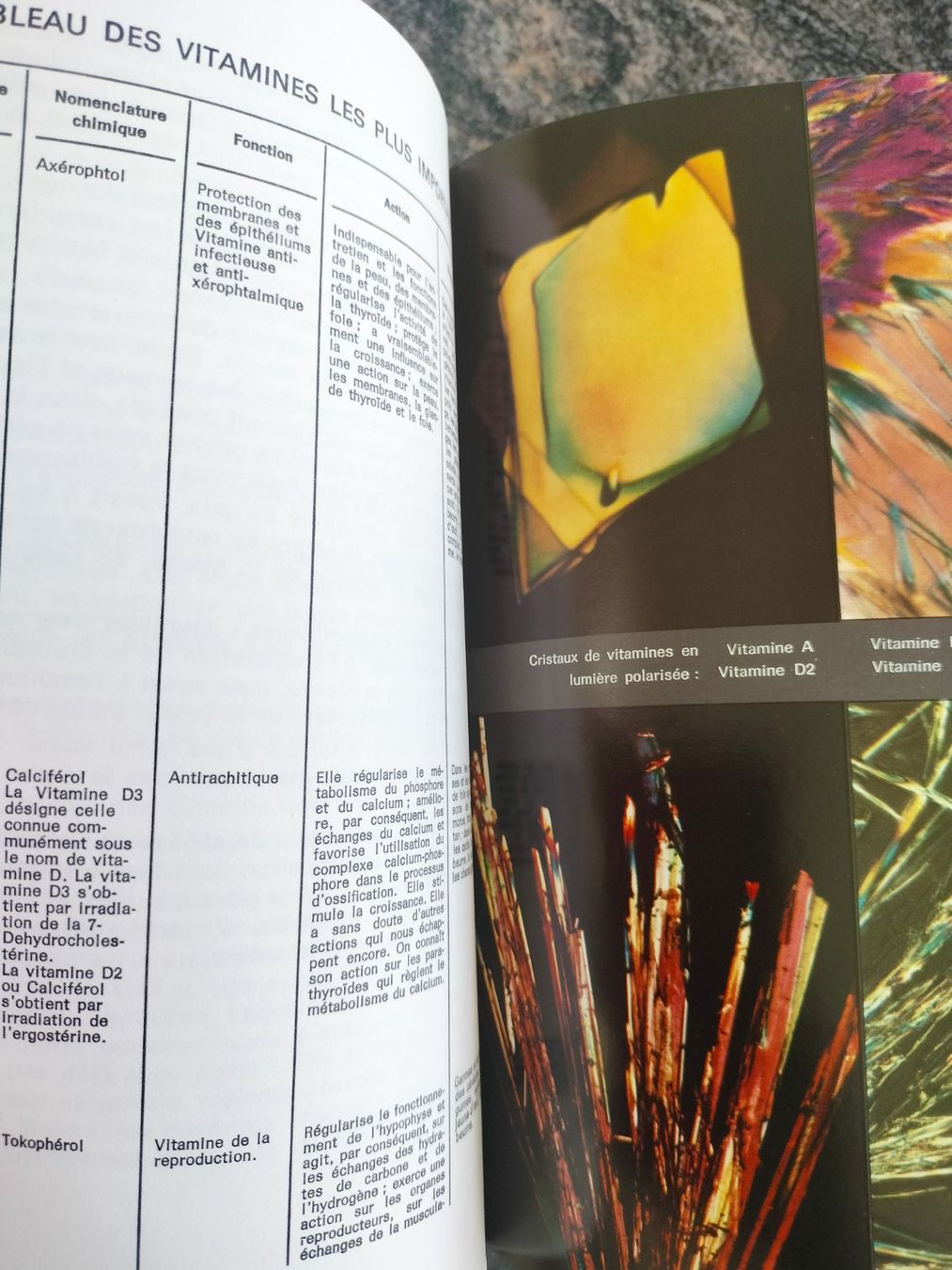 Libri: La santé par les aliments Dr E. Schneider 1968 numéroté – Nuovo (secondo la descrizione) da Cortaillod venduto da rozinna 3