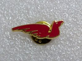 Ansteckpin 250:
