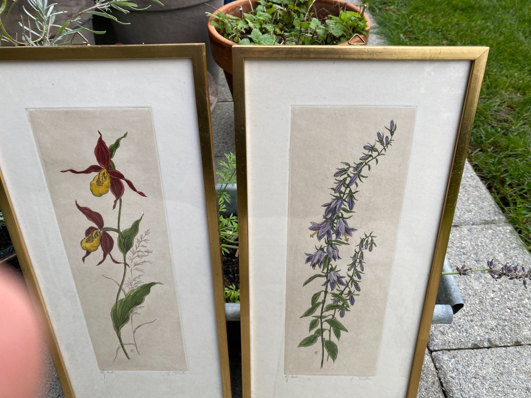 Poster & Bilder: Handgemachte Blumenbilder, 1962 – Gebraucht aus Unterengstringen von Dale2 5