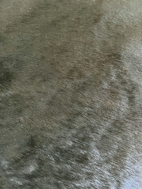 Tapis peau de vache véritable 3