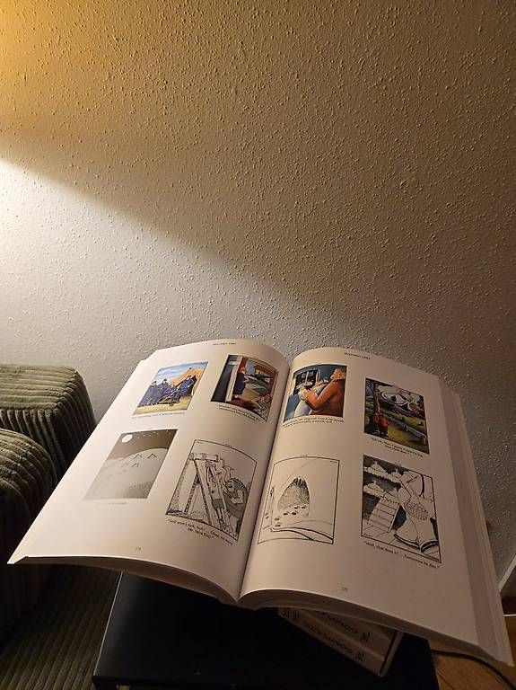 Libri: Hardcover-Set The Complete Far Side – Usato da Zürich venduto da Annabelle. 3