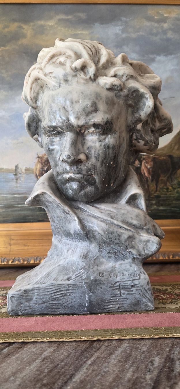 Sculture & Statue: Beethoven Büste, Marmor signiert – Usato da Wolfhalden venduto da Nati-Nati