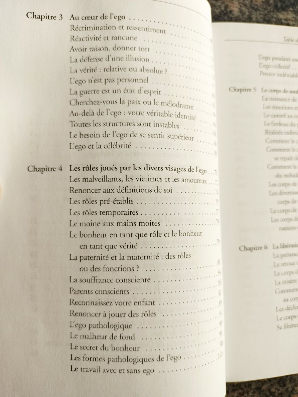 Livres: Nouvelle Terre Eckart Tolle – Neuf (Voir description) à Cortaillod par rozinna 3