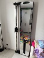 Kabelzug mit Spiegel und 50 kg Gewichten