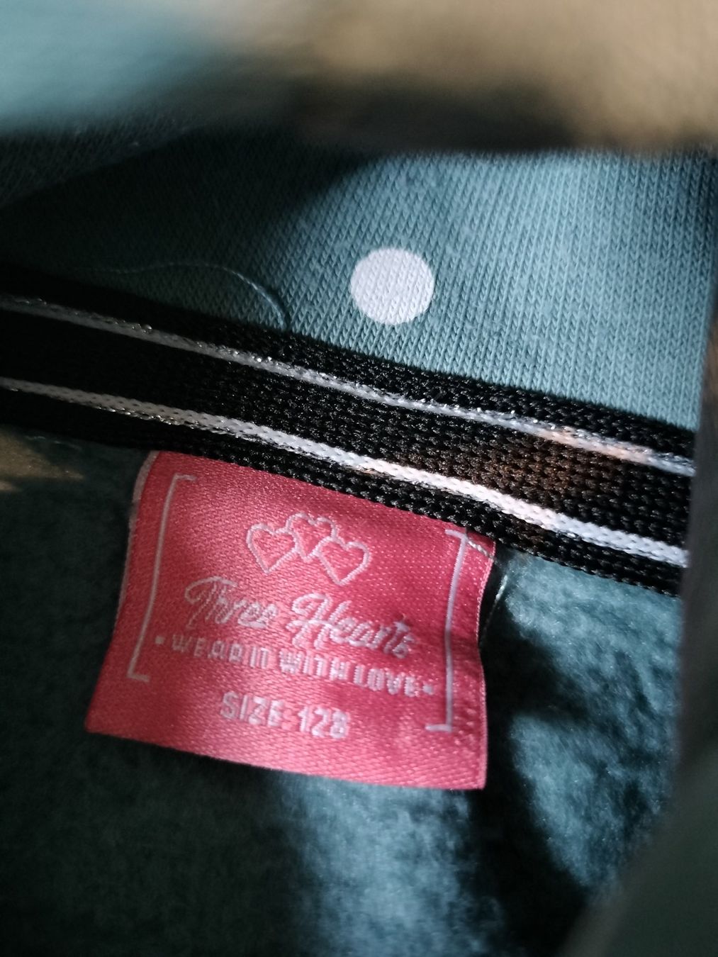 Maglioni & Felpe: Dickerer Hoodie Grösse 128 – Usato da Neftenbach venduto da TheKringel 1