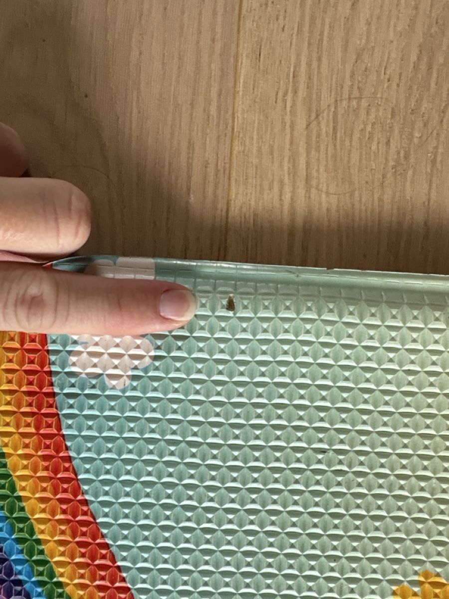 Spielmatte: Spielmatte – Gebraucht aus Winterthur von Manati_06 1