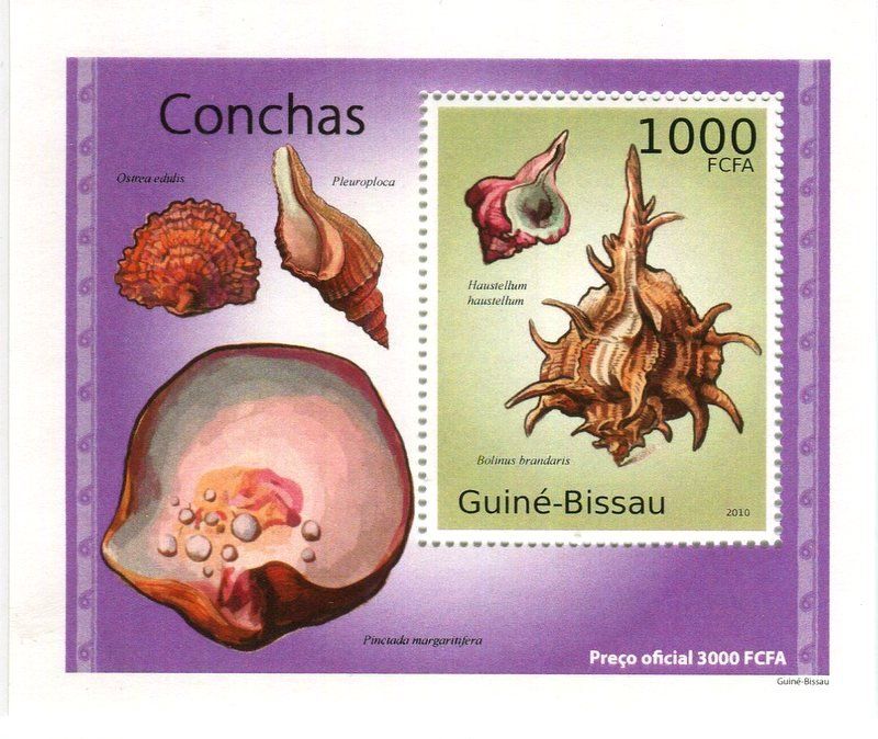 Tutti i francobolli: Block "Muscheln". Guinea-Bissau – Nuovo e nell'imballaggio originale da Basel venduto da Butsch5