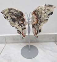 Money Agate Schmetterling