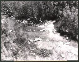Fotografie Duala / Kamerun, Absturzstell