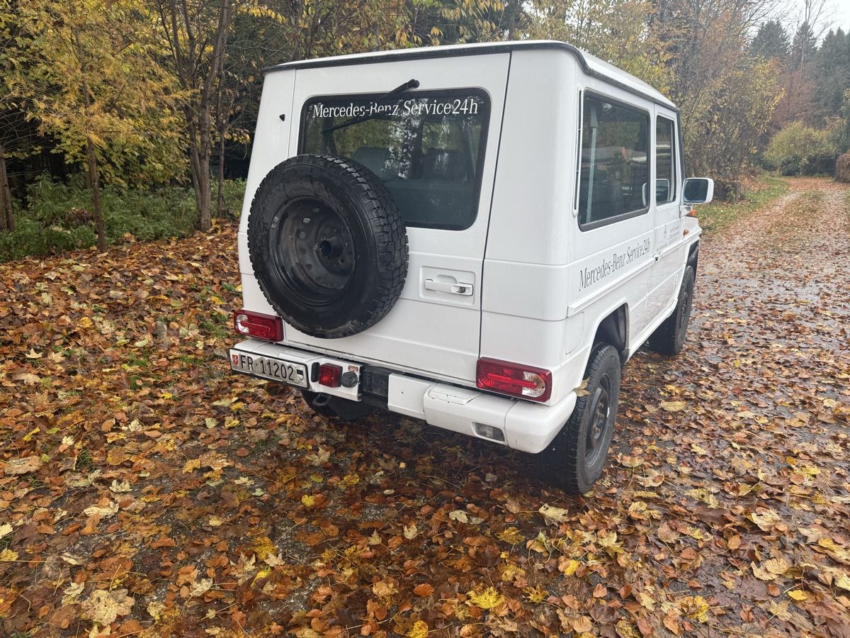 Puch Automobili: G Klasse 300 GSE – Usato da Brünisried venduto da Blau113 3