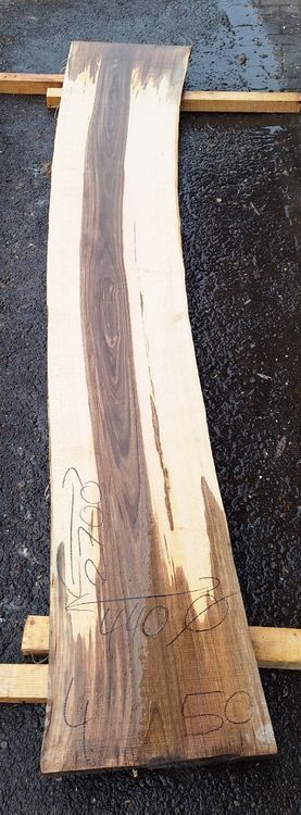 Articoli in legno: Nussbaumbrett 50mm – Nuovo (secondo la descrizione) da Waldkirch venduto da bauprofi87