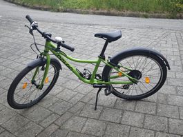Kinderfahrrad Naloo Chameleon 24 Zoll grün gute Zustand