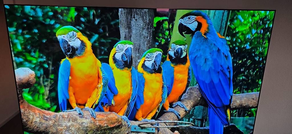 Televisori: Sony Bravia K77XR8A, OLED, 4K, 2025 – Usato da Lachen SZ venduto da pet_2h68