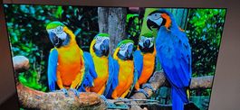 Sony Bravia K77XR8A, OLED, 4K, 2025