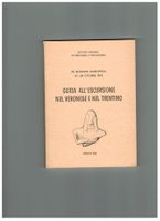 Archäologie: Guida nel Trentino