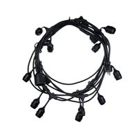 Fiesta Lichterkette 9.27 Meter für 15 LED's