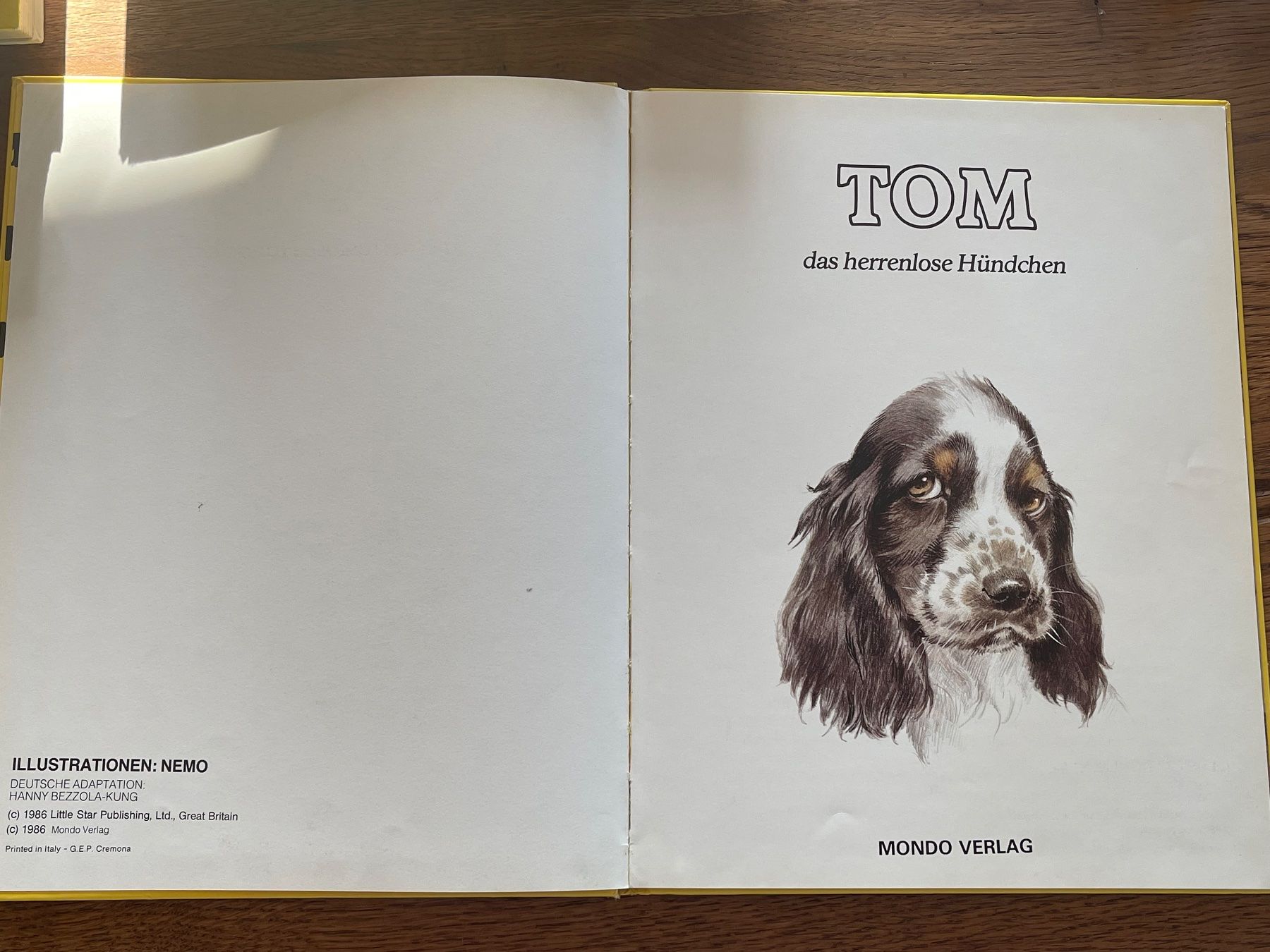 Libri: Kinderbuch "TOM, das herrenlose Hündchen" Mondo Verlag – Usato da Zuerich venduto da Dorsi 1