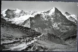 GRINDELWALD Am Weg First Faulhorn
