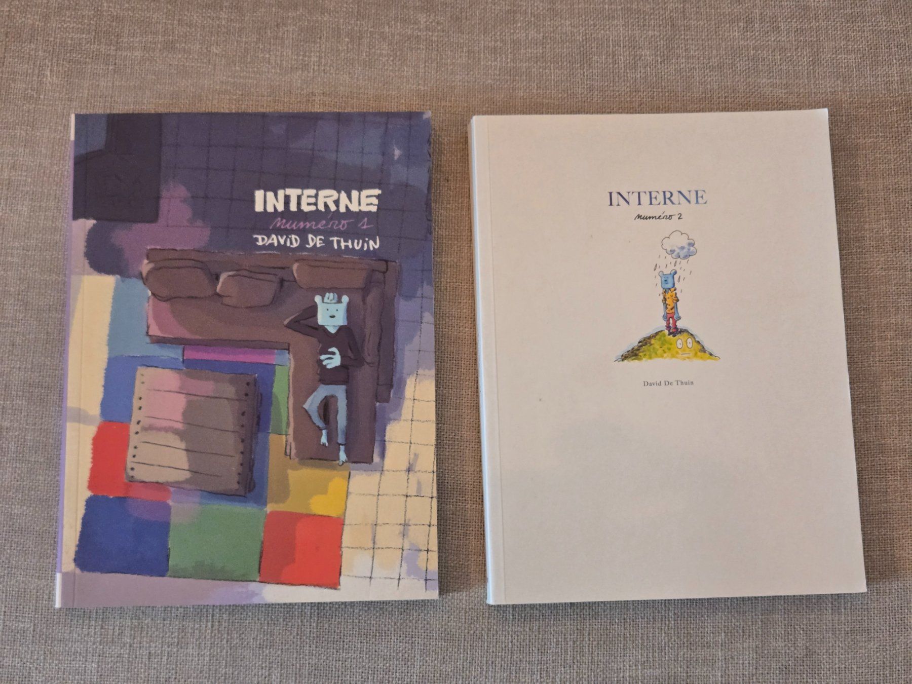 Comics: Interne 1 et 2 - David de Thuin - Rareté! Introuvable – Gebraucht aus Crémines von Blakedrake