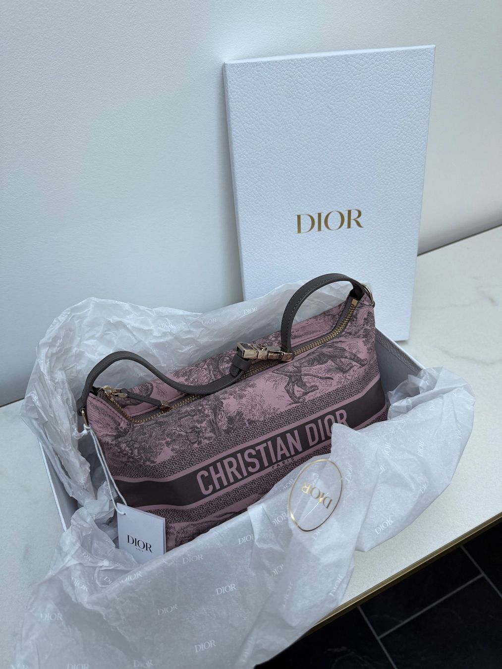 Dior Borse da donna: NEW Dior Nomad bag – Nuovo e nell'imballaggio originale da Vacallo venduto da kellyyy 5