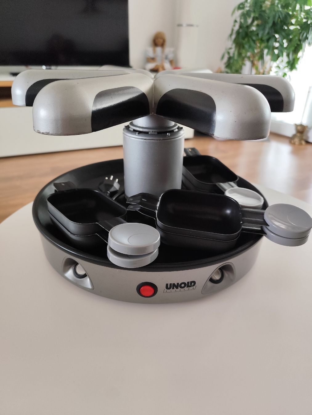 Elettrodomestici da cucina: Flying Raclette – Usato da Zürich venduto da Virutosa 2