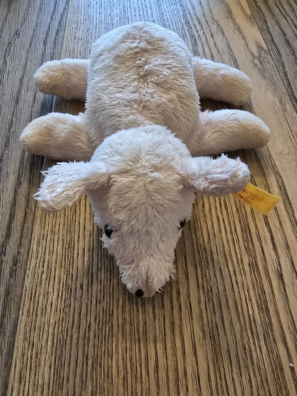 Steiff Giocattoli: Petit cochon Steiff – Usato da Echarlens venduto da AnimoBest
