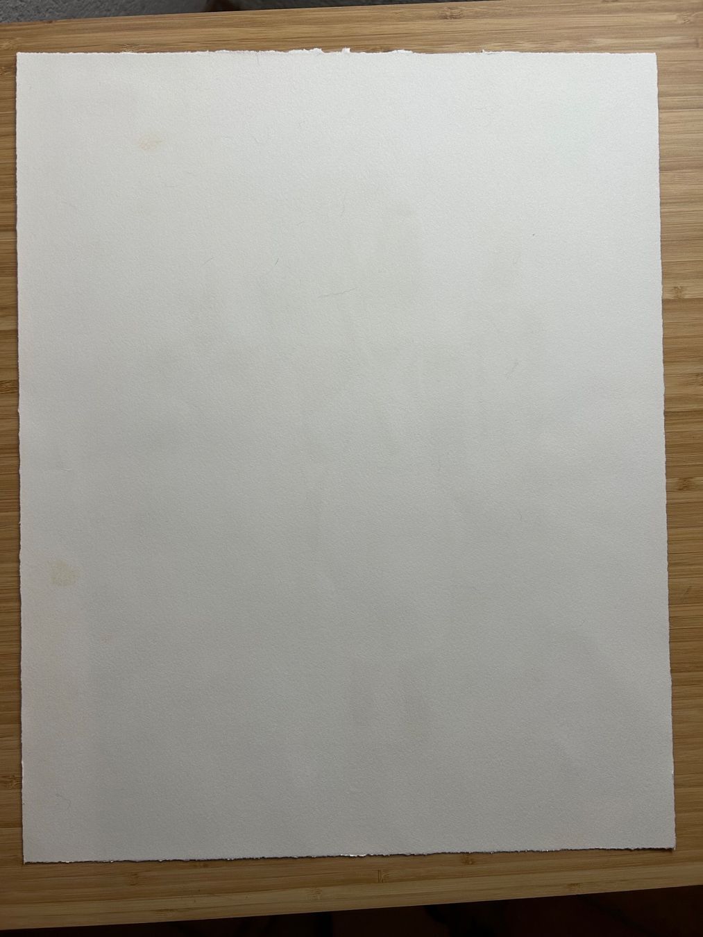 Grafica & Litografie: Roger BOHNENBLUST (1929-1979) | Fribourg – Usato da Gampelen venduto da Outbid 2