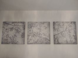 Bilderserie "Kirschblüten" 3x (56.5 x 56.5 cm)