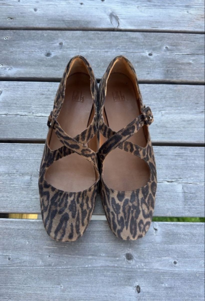Scarpe da donna: Billi bi Ballerina Leo Print  – Usato da Arlesheim venduto da and_p9d8