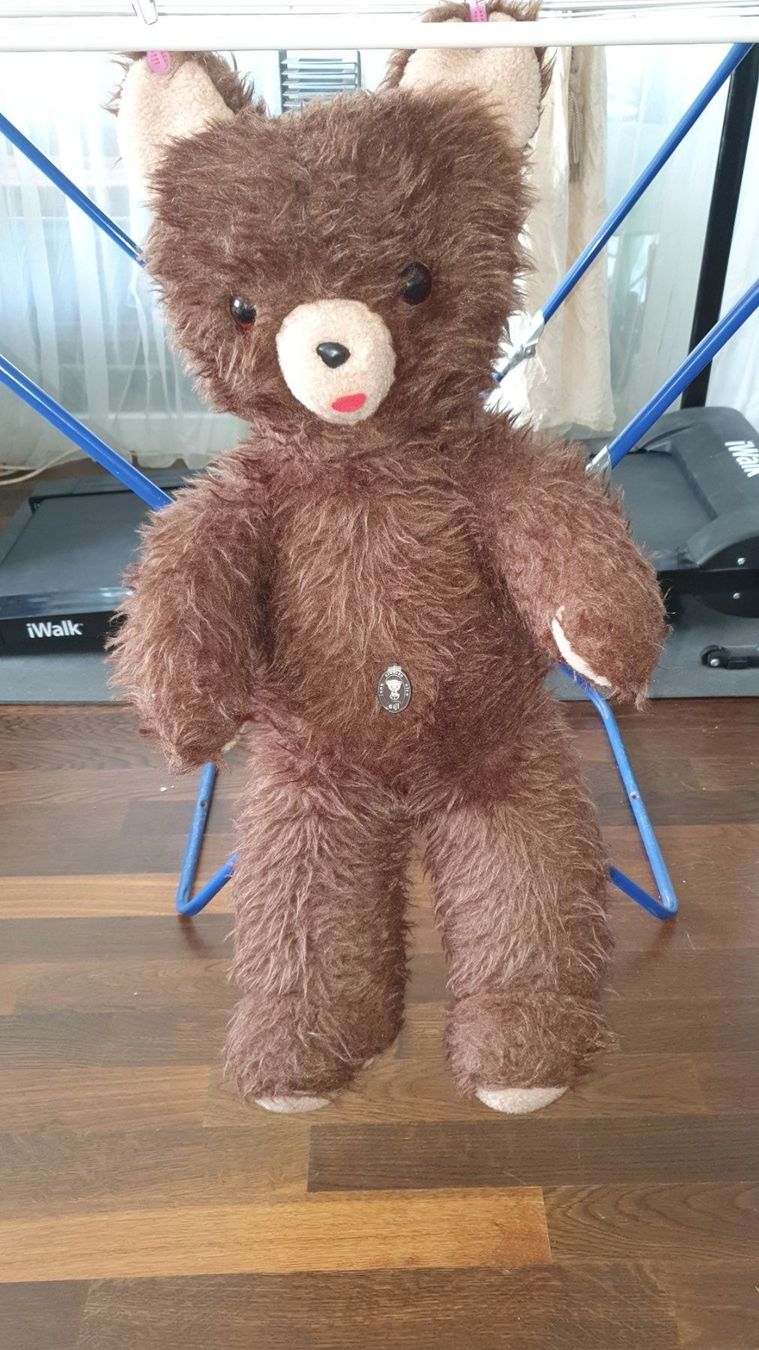 Il mondo degli animali: Teddybär – Usato da Villmergen venduto da stier74