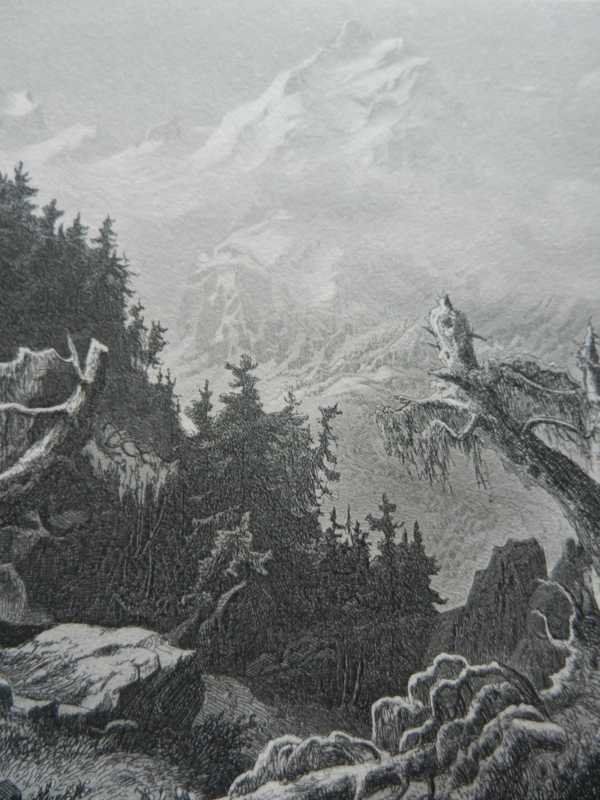 Incisioni: Piz Bernina Oberengadin – Usato da Risch venduto da Rischli15 4