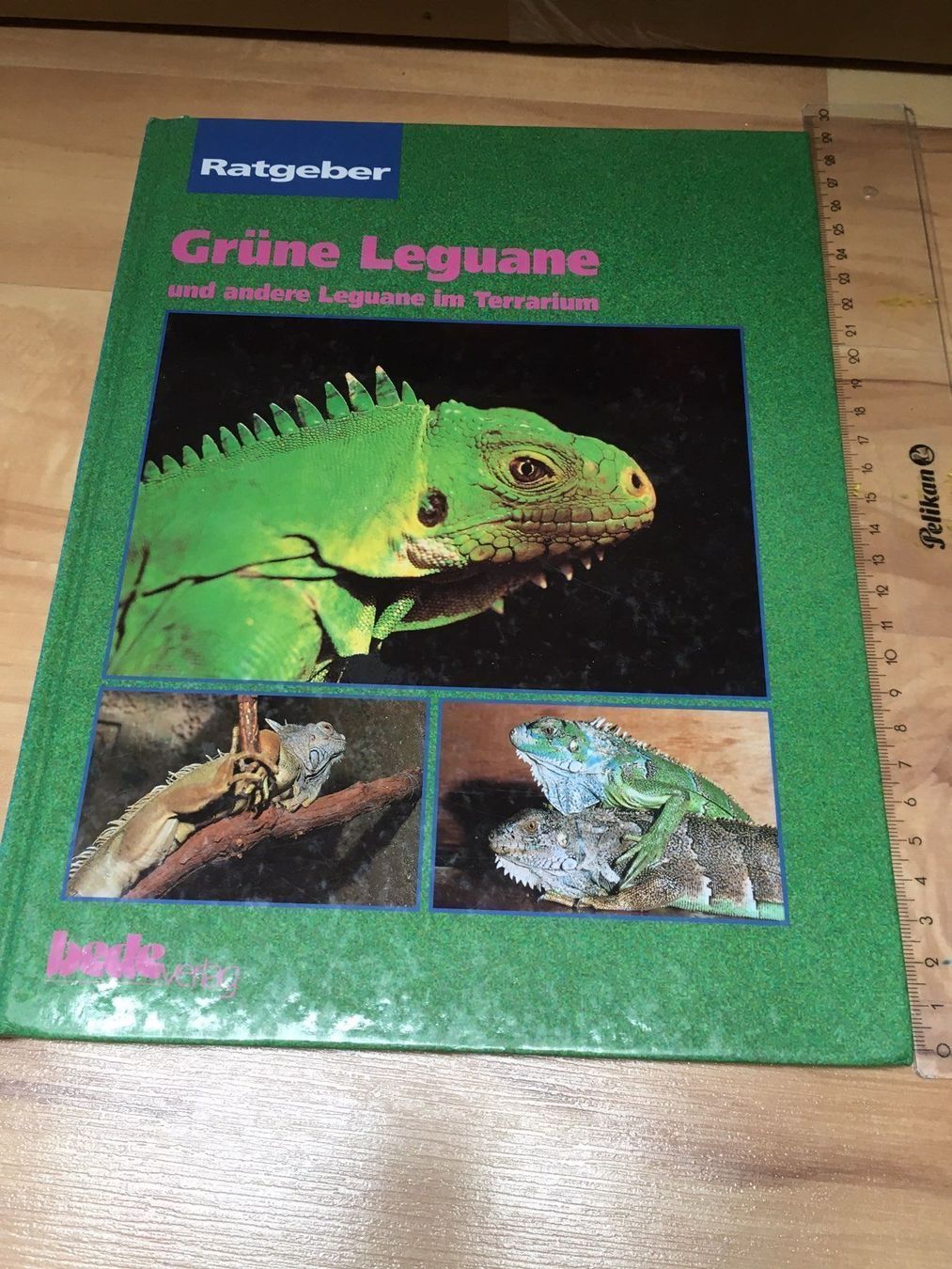 Libri: Super Buch GRÜNE LEGUANE – Usato da Siegershausen venduto da Bubsi83