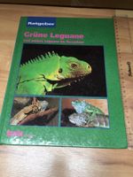 Super Buch GRÜNE LEGUANE
