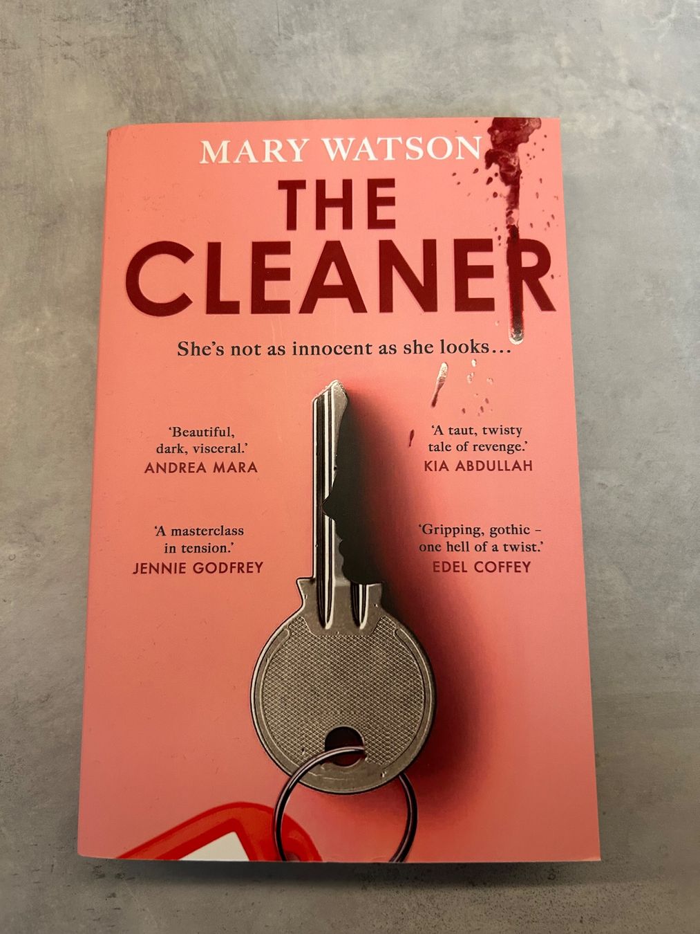 Libri: Mary Watson - The Cleaner - Thriller – Usato da Oberkulm venduto da angela_05