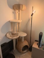 Kratzbaum mit Hängematte und Höhle Beige