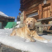 Profile image of Bounga
