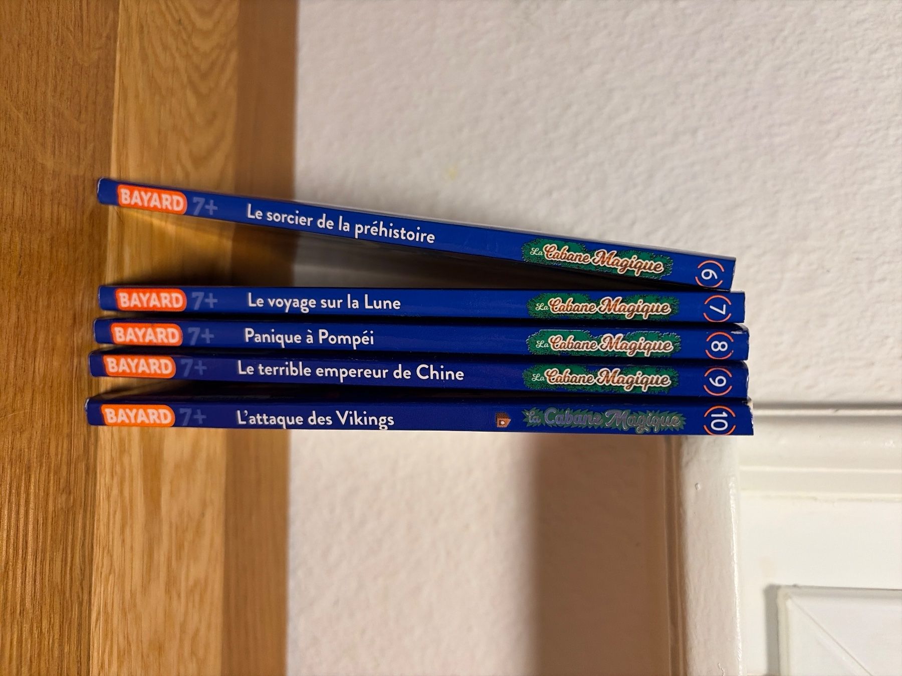 Libri: Livre cabane magique 6 à 10 – Usato da Lausanne venduto da aur_cxg5 2