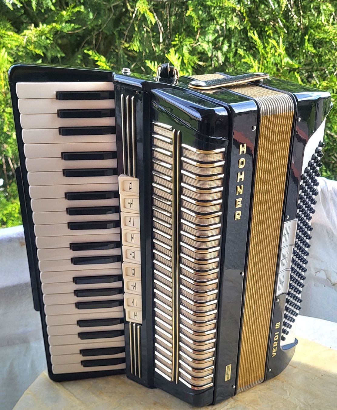 Strumenti musicali: Accordéon hohner Verdi III  – Usato da Penthalaz venduto da EvandroLuz 1