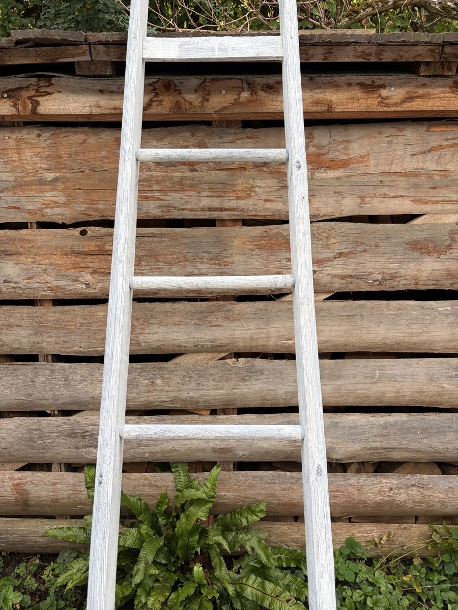 Scale: Holzleiter weiss 2.19m – Usato da Römerswil LU venduto da mr-max11 3